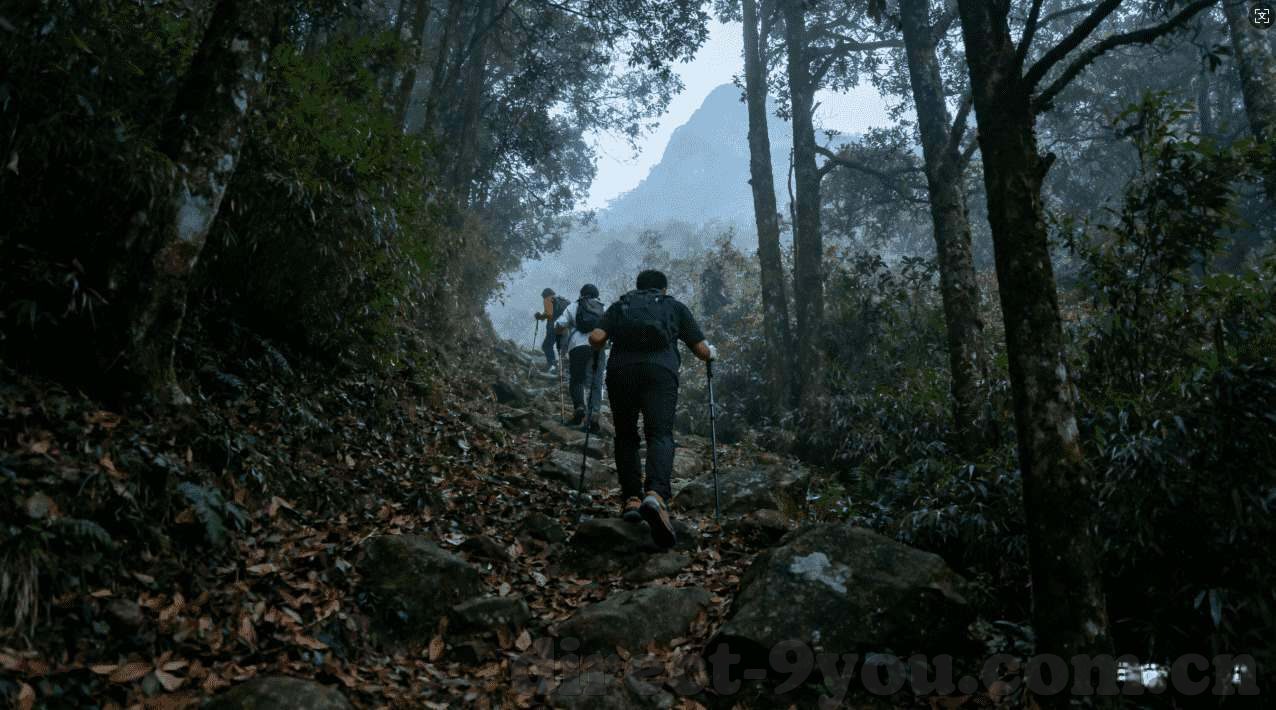 永利集团市值-打造商业帝国的财富旅程——永利集团市值的辉煌成就